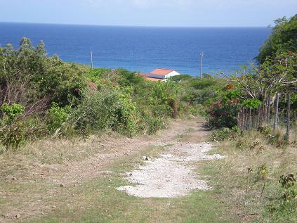 Ocean view of access road from in front of property (left)
